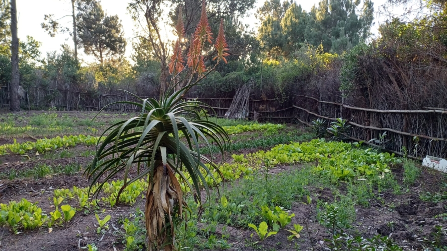  Bedroom Property for Sale in Langvlei Dunes Western Cape